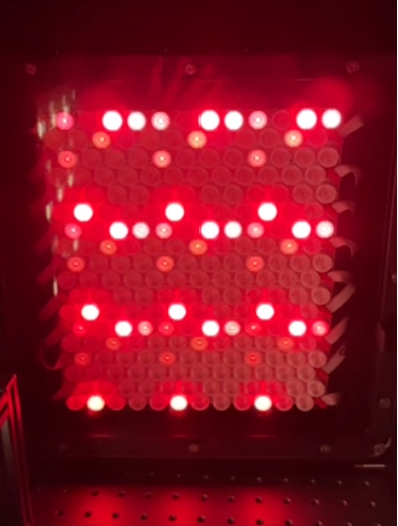 Projecteurs à LED pour applications agri-agro